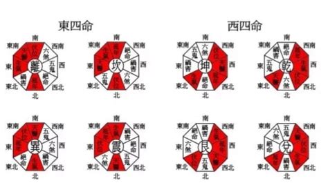 坐東向西|八宅風水講解：什么是東四宅與西四宅？